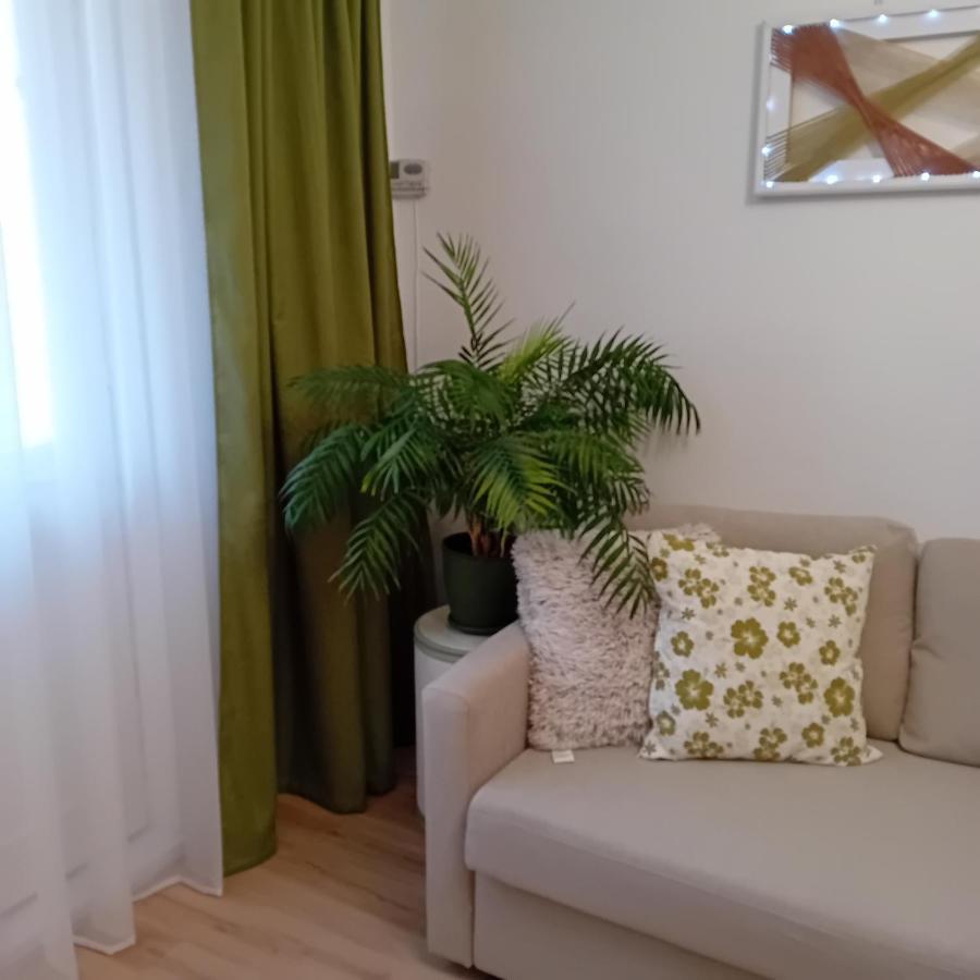 Harmonyhouse Daire Braşov Dış mekan fotoğraf
