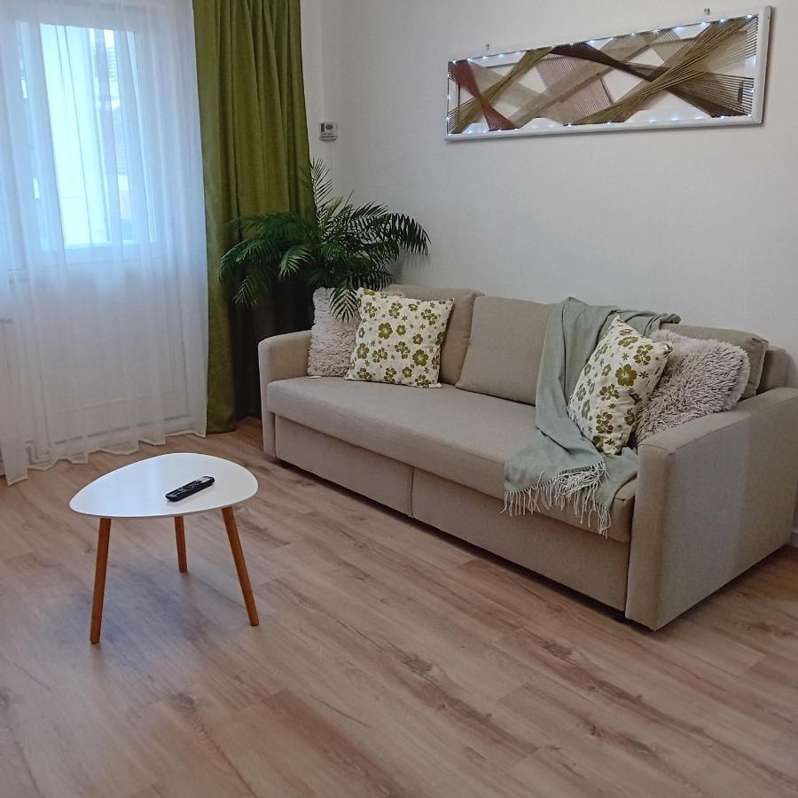 Harmonyhouse Daire Braşov Dış mekan fotoğraf